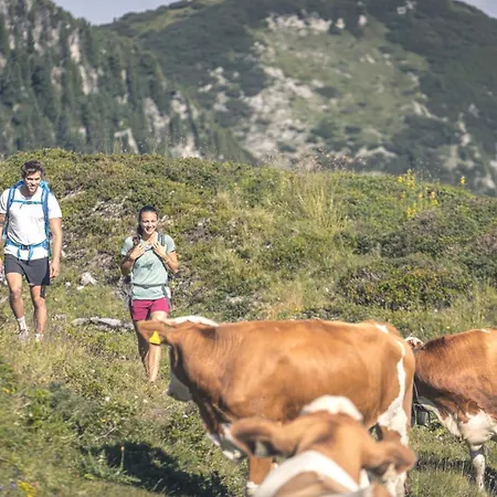 Gaspingers Bergjuwel