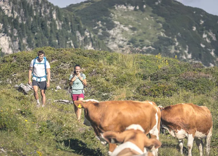 Gaspingers Bergjuwel